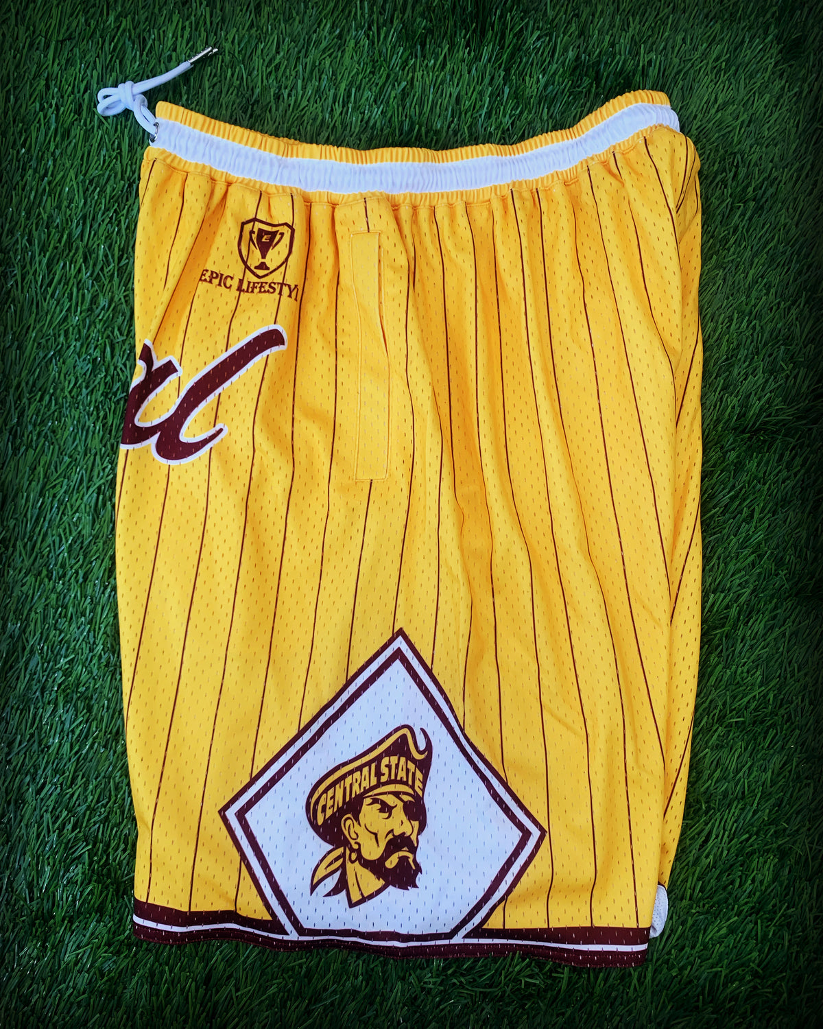 Central State University (CSU) Basketball Shorts - Gold Pinstripe
